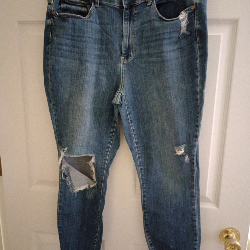 Judy Blue Distressed Skinny Jeans in Blue